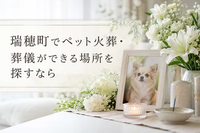 瑞穂町でペット火葬・葬儀ができる場所を探すなら