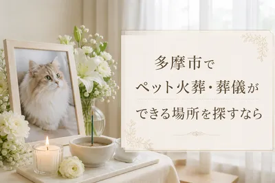多摩市でペット火葬・葬儀ができる場所を探すなら