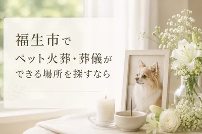 福生市でペット火葬・葬儀ができる場所を探すなら