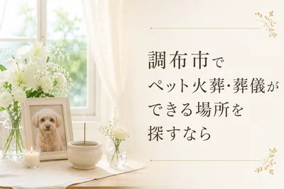 調布市でペット火葬・葬儀ができる場所を探すなら
