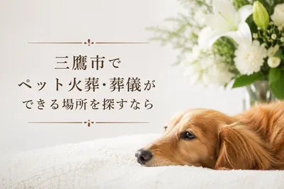 三鷹市でペット火葬・葬儀ができる場所を探すなら