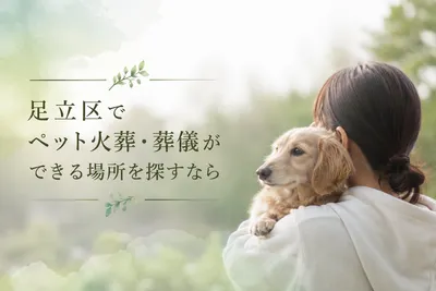足立区でペット火葬・葬儀ができる場所を探すなら