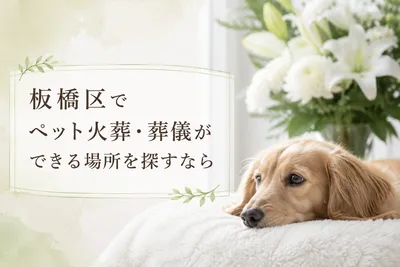 板橋区でペット火葬・葬儀ができる場所を探すなら