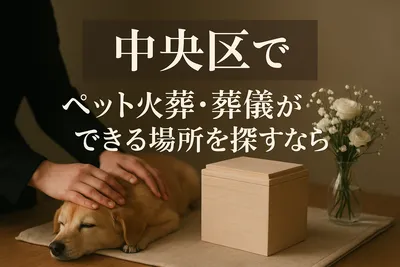 中央区でペット火葬・葬儀ができる場所を探すなら
