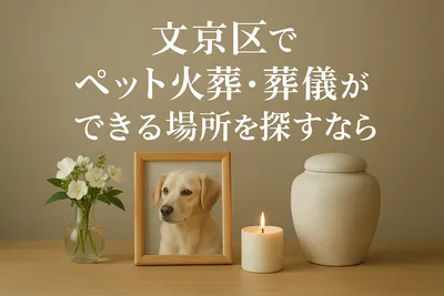 文京区でペット火葬・葬儀ができる場所を探すなら