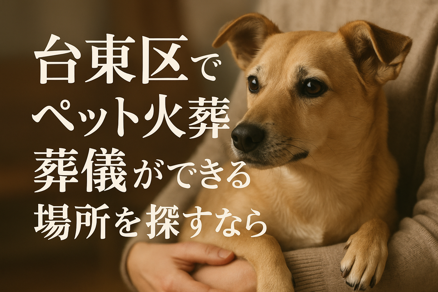 台東区でペット火葬・葬儀ができる場所を探すなら