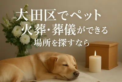 大田区でペット火葬・葬儀ができる場所を探すなら