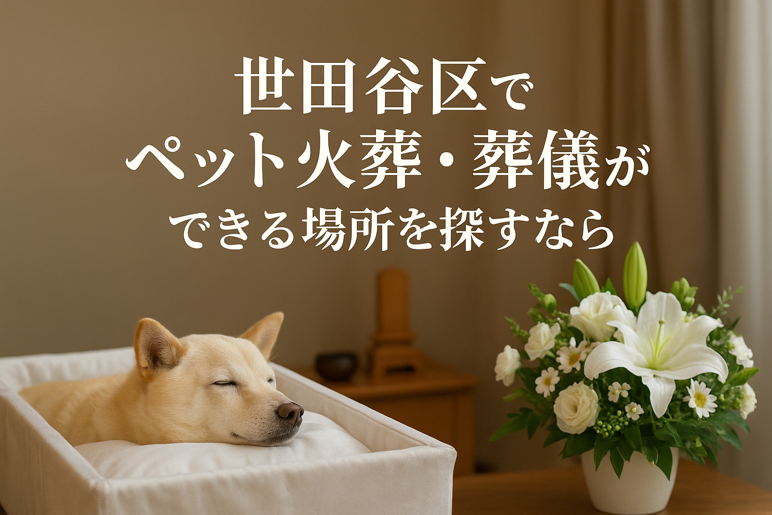 世田谷区でペット火葬・葬儀ができる場所を探すなら
