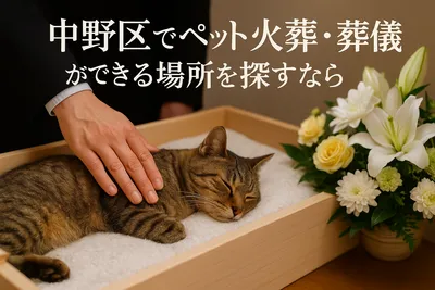 中野区でペット火葬・葬儀ができる場所を探すなら