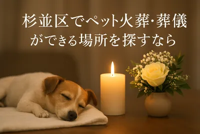 杉並区でペット火葬・葬儀ができる場所を探すなら