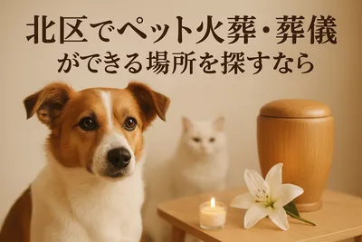 北区でペット火葬・葬儀ができる場所を探すなら