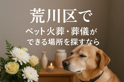 荒川区でペット火葬・葬儀ができる場所を探すなら