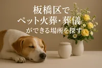 板橋区でペット火葬・葬儀ができる場所を探すなら