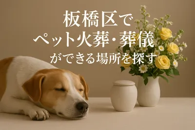 板橋区でペット火葬・葬儀ができる場所を探すなら