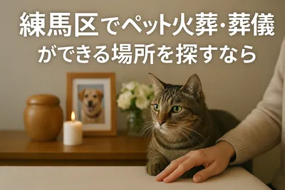 練馬区でペット火葬・葬儀ができる場所を探すなら