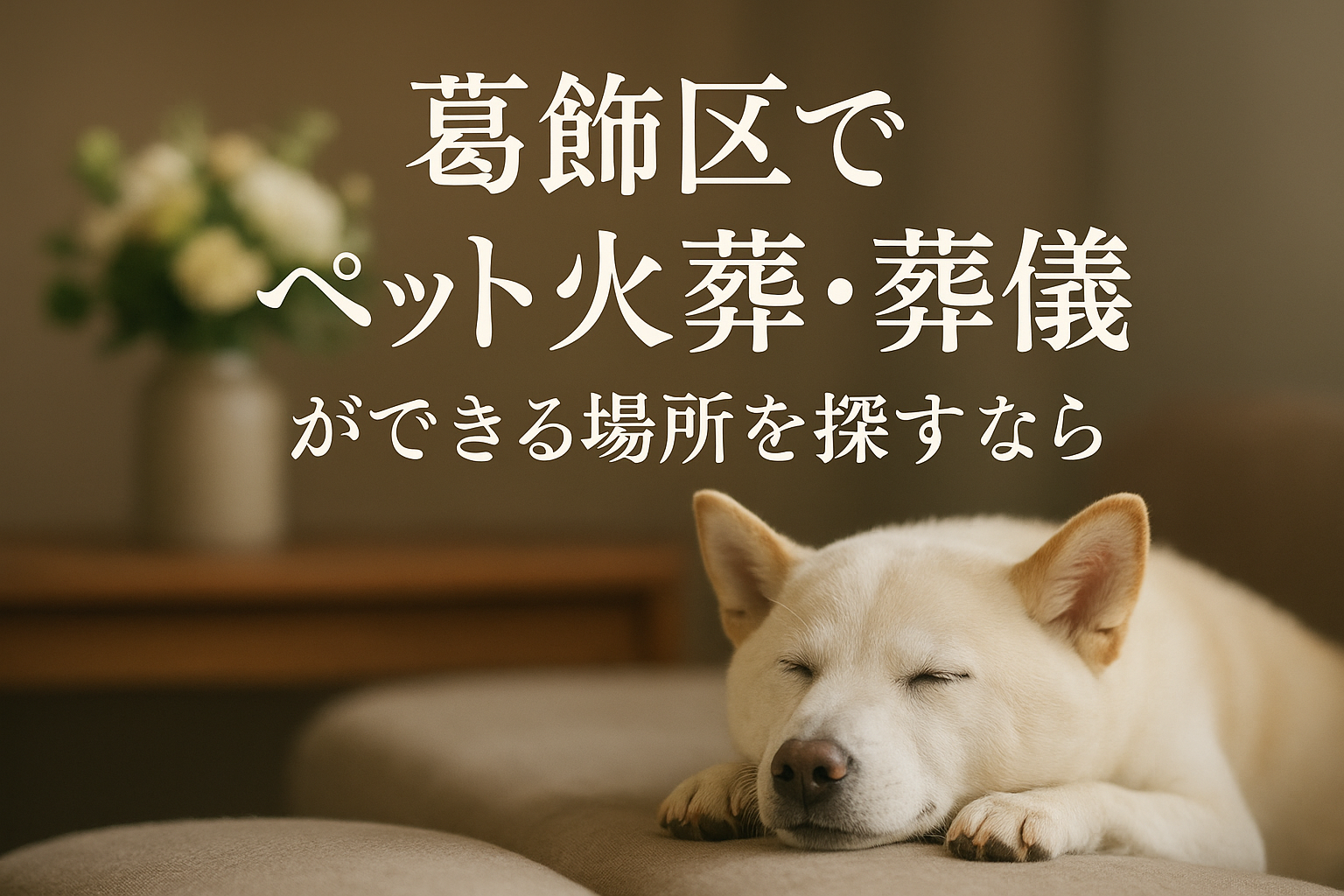 葛飾区でペット火葬・葬儀ができる場所を探すなら