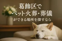葛飾区でペット火葬・葬儀ができる場所を探すなら