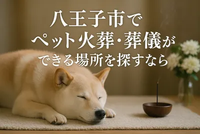 八王子市でペット火葬・葬儀ができる場所を探すなら