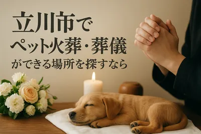 立川市でペット火葬・葬儀ができる場所を探すなら