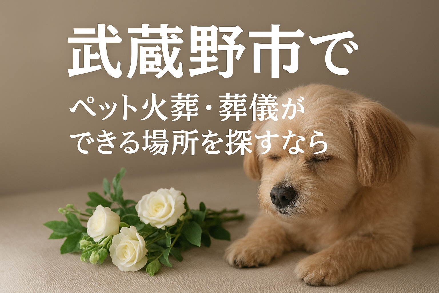 武蔵野市でペット火葬・葬儀ができる場所を探すなら