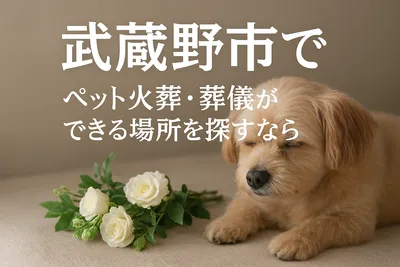 武蔵野市でペット火葬・葬儀ができる場所を探すなら