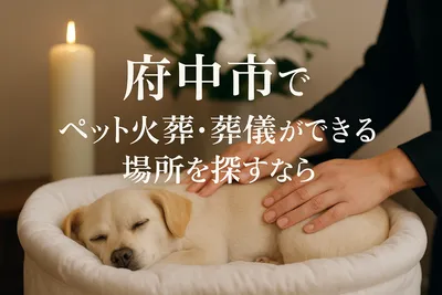 府中市でペット火葬・葬儀ができる場所を探すなら