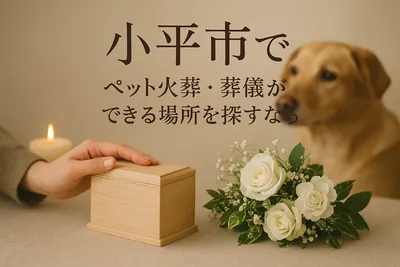 小平市でペット火葬・葬儀ができる場所を探すなら