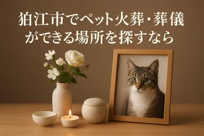 狛江市でペット火葬・葬儀ができる場所を探すなら
