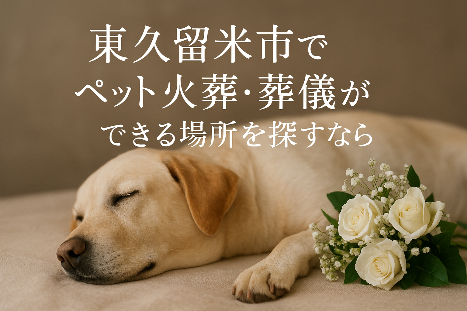 東久留米市でペット火葬・葬儀ができる場所を探すなら