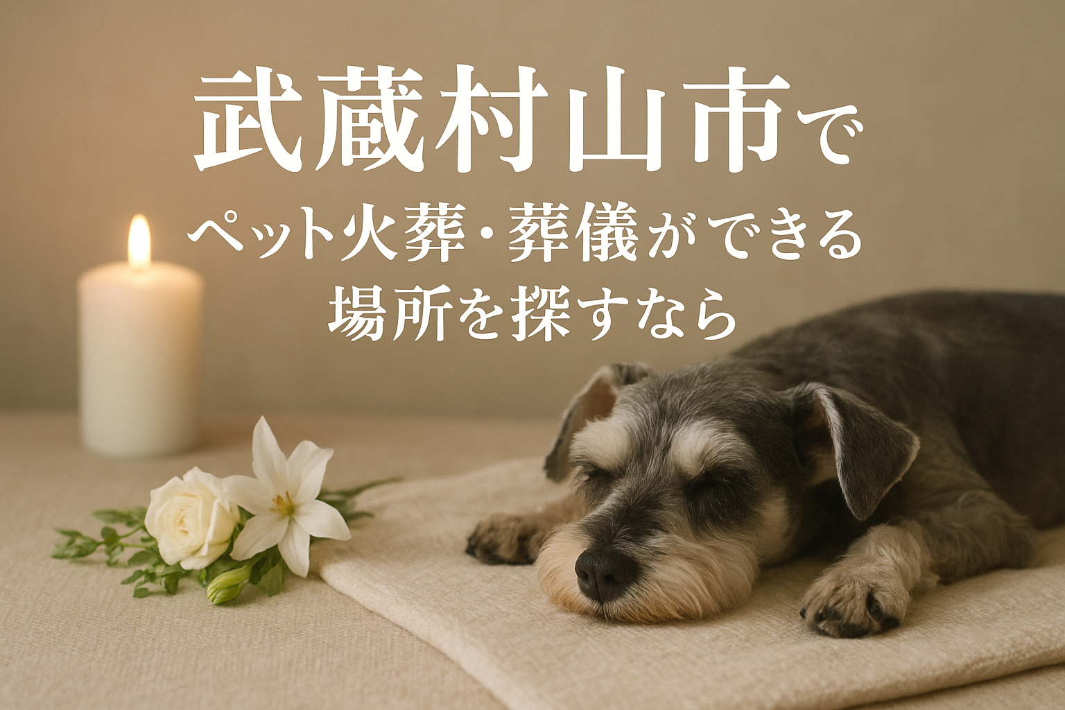 武蔵村山市でペット火葬・葬儀ができる場所を探すなら