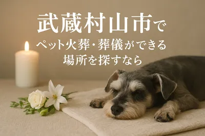 武蔵村山市でペット火葬・葬儀ができる場所を探すなら