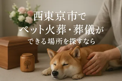 西東京市でペット火葬・葬儀ができる場所を探すなら